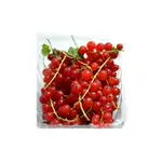 Red Currants Closed 125Gr