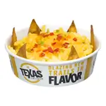 Cheesy Fries