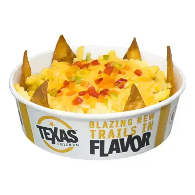 Cheesy Fries