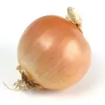 Onions