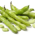 Bean