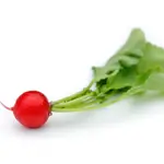 Radish