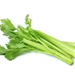 Celery