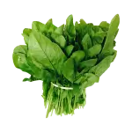 Spinach