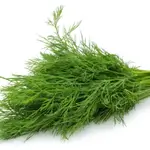 Dill