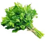 Parsley