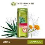 Hair shine shampoo 300 ml