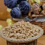Pistachio Abid Plain