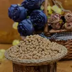 Iranian Chickpeas