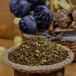 The Seeds of Qazwan