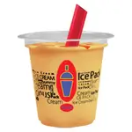 Orange Ice Pack