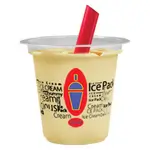 Pineapple Ice Pack
