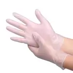 Clear Vinyl Gloves Large