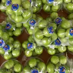 Green Sour Plum
