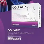 Collafix capsules
