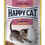 Happy Cat Kitten