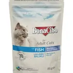 BonaCibo For Adult with Fish