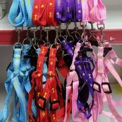 Collar for Cat and Dog