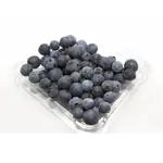 Blue Berries Lz Pcs