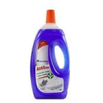 Carrefour Multi Action Cleaner Lavender 3 Ltr