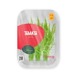 Dill