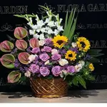 Basket Flower