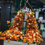 Decorate