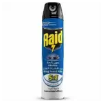 Raid Flying Insect Killer Spray Odorless, 300ml