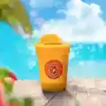 Mango And Orange
