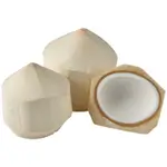 Fresh Coconut - 1 Pc