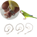Bird Foot Ring For (Dura, Quaker, San, Conure)