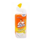Mr Muscle Toilet Cleaner Cit750ml
