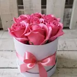 Box 19