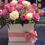 Box 27