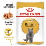 Royal Canin Adult British 85g