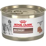 Royal Canin Recovery for dogs & cats 195g