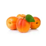 Iranian Apricot