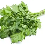 Celery