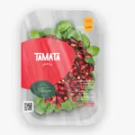 Pomegranate Salad