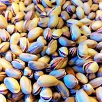 Gaziantep Pistachio