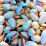 Salt Pistachio