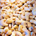 Plain Cashew