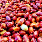 Sour Pistachio