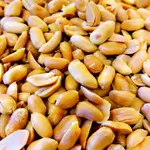 Pistachio Abid Plain