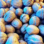 American Walnut