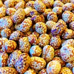 Abaid Pistachio with Sesame