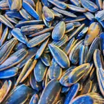 Slemani Sunflower Seeds