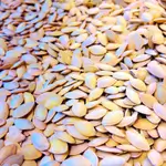 Zucchini Seeds