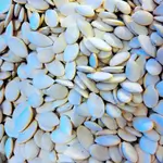 White Zucchini Seeds