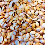 Yellow Zucchini Seeds